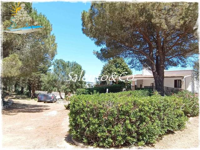 Villa in affitto a Ostuni, case in affitto Ostuni