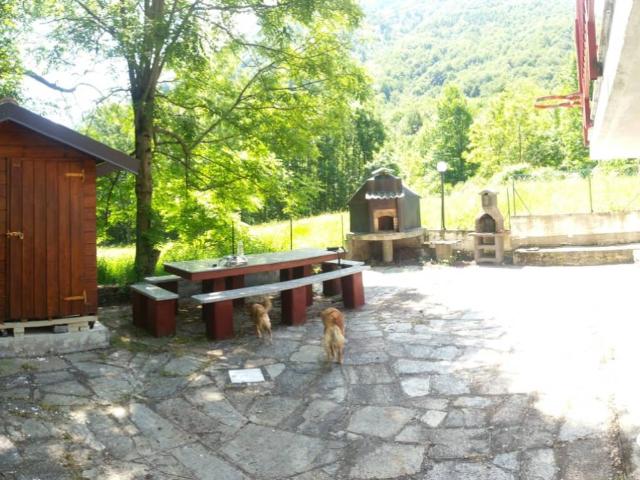Villa in affitto a Lemie, arredato, giardino privato, caminetto TrovaCasa