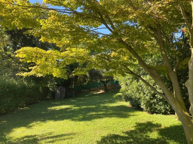 Villa in affitto a Moncalieri strada Castelvecchio, 21, giardino privato, caminetto, cantina TrovaCasa