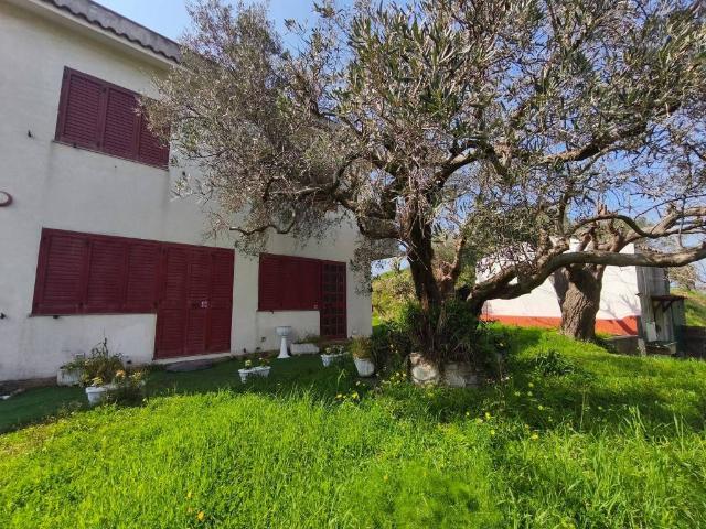 Villa in affitto a Monforte San Giorgio ME