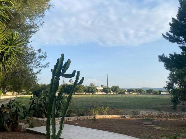Villa in affitto a Monopoli BA