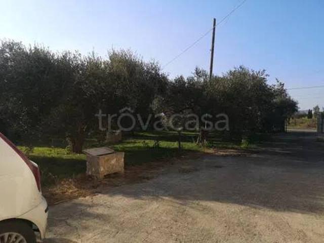 Villa in affitto a Montalto di Castro strada Del Chiarone, giardino privato, posto auto, terrazzo TrovaCasa