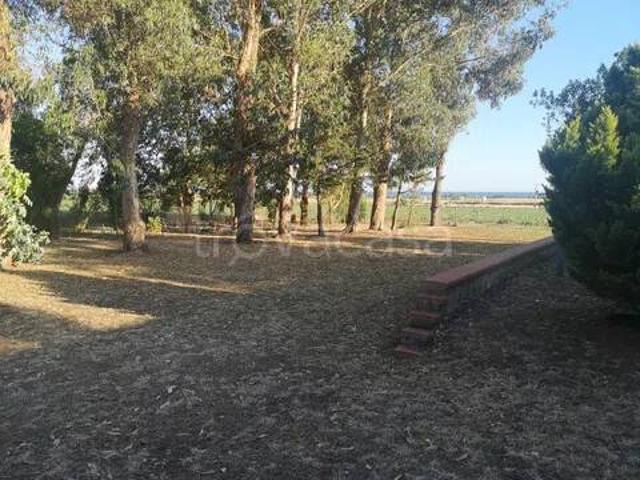 Villa in affitto a Montalto di Castro strada Del Tirreno, giardino, posto auto, fronte mare TrovaCasa