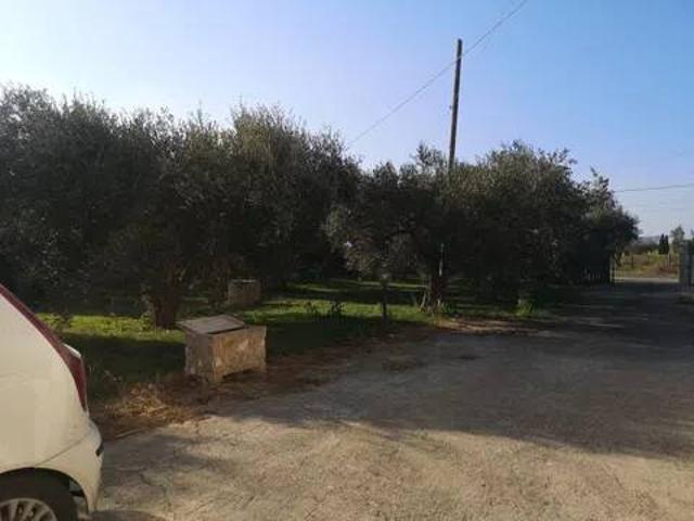 Villa in affitto a Montalto di Castro VT