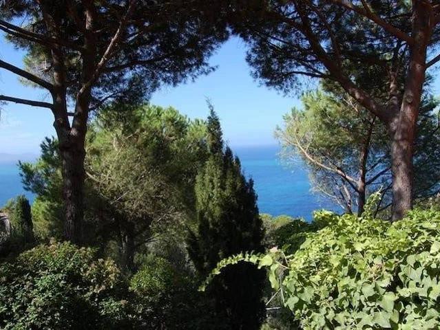 Villa in affitto a Monte Argentario GR