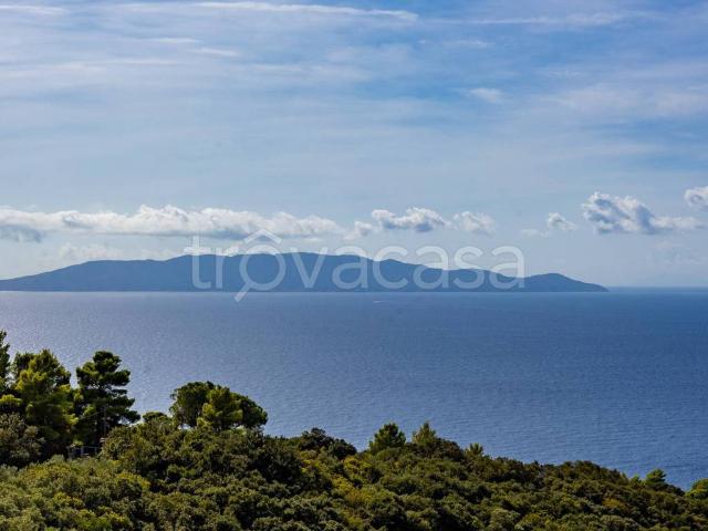Villa in affitto a Monte Argentario località Calamoresca, arredato, giardino privato, posto auto TrovaCasa
