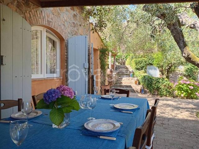 Villa in affitto a Monte Argentario località Partemi, arredato, giardino privato, terrazzo TrovaCasa