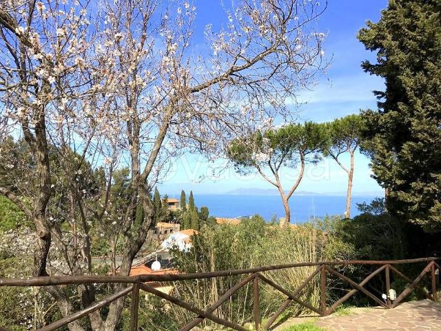 Villa in affitto a Monte Argentario località Punta Nera, arredato, giardino privato, terrazzo TrovaCasa