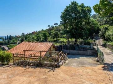 Villa in affitto a Monte Argentario località Punta Nera, arredato, giardino privato, terrazzo TrovaCasa