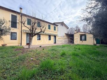 Villa in affitto a Montegalda, giardino privato, taverna, cucina abitabile TrovaCasa
