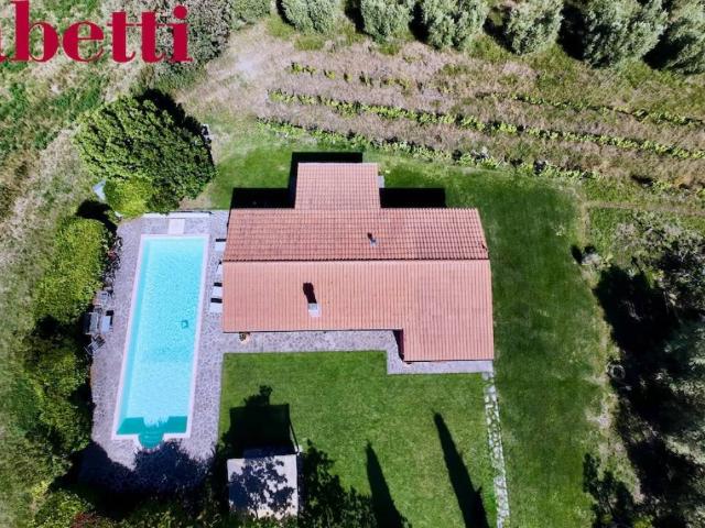 Villa in affitto a Magliano in Toscana strada Consortile La Carla, 66, arredato, giardino privato, terrazzo TrovaCasa