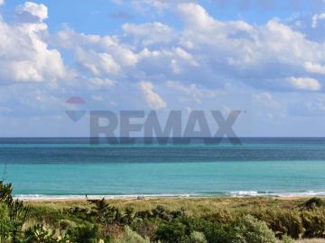 Olivella, Frosinone Lazio