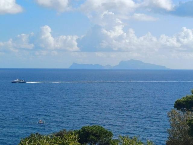 Villa in affitto a Napoli NA