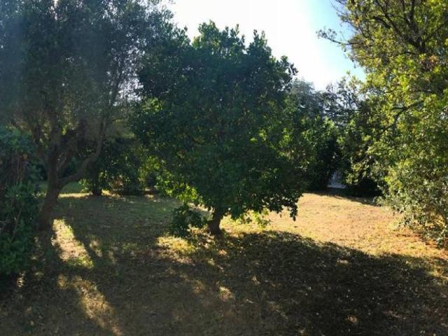Villa in affitto a Nettuno RM