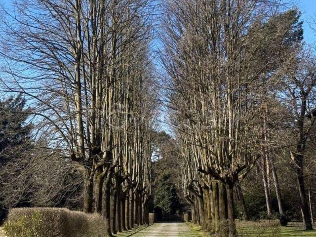 Villa in affitto a Somma Lombardo, giardino, box, immobile di prestigio TrovaCasa