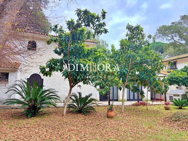 Villa in affitto a Sabaudia LT