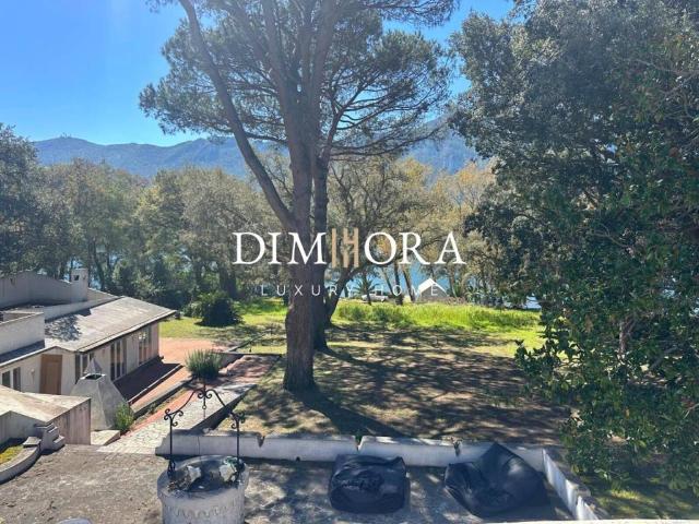 Villa in affitto a Sabaudia LT