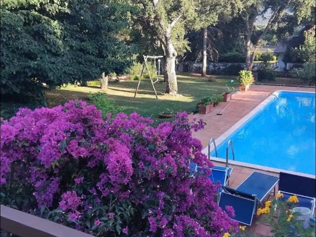 Villa in affitto a Sabaudia LT
