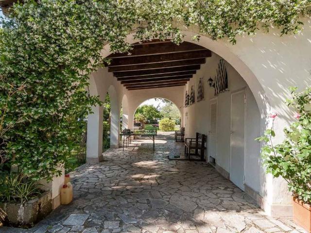 Villa in affitto a Sabaudia LT