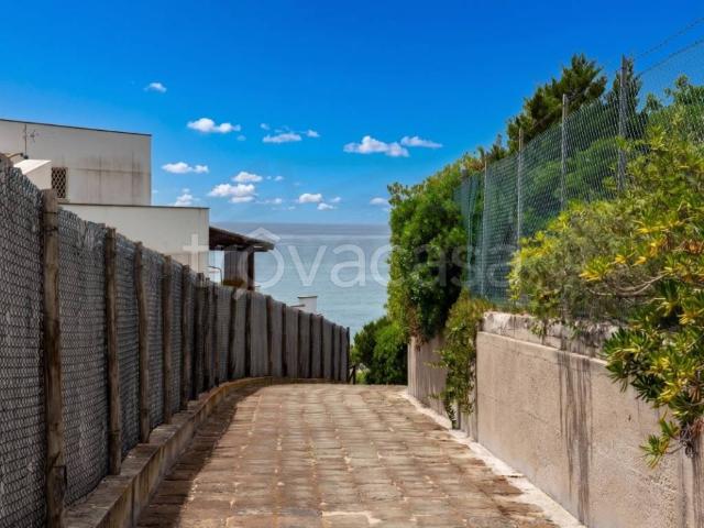 Villa in affitto a Sabaudia strada Lungomare Pontino, arredato, giardino privato, posto auto TrovaCasa