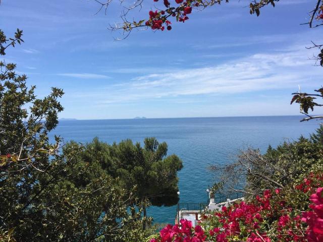 Villa in affitto a San Felice Circeo LT