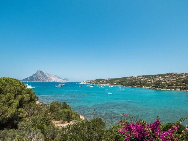Villa in affitto a San Teodoro OT