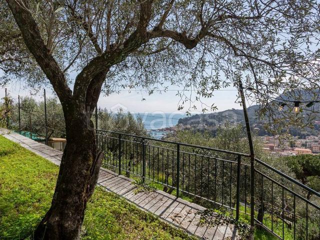 Villa in affitto a Santa Margherita Ligure via San Lorenzo, 28, arredato, giardino privato, posto auto TrovaCasa