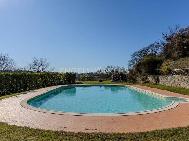 Villa in affitto a Scansano GR