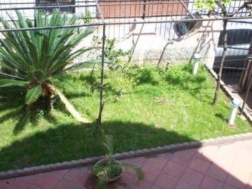 Villa Indipendente in affitto a Favazzina - Giardino