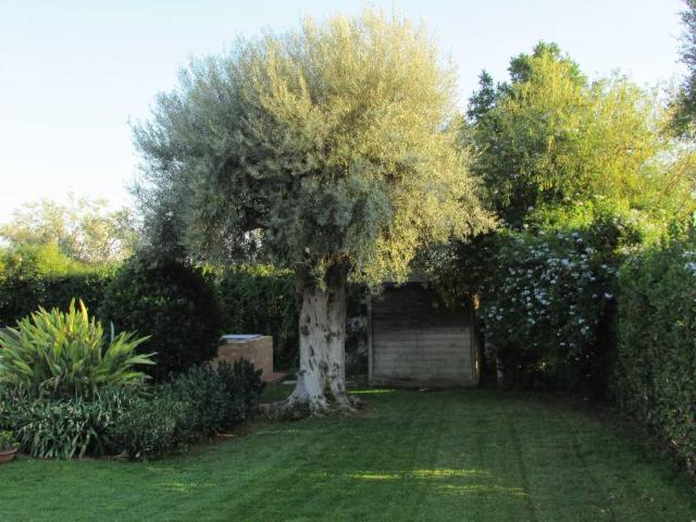 Villa in affitto a Siracusa SR