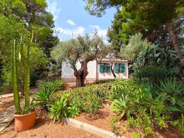 Villa in affitto a Siracusa via Siracusa, arredato, giardino privato, caminetto TrovaCasa