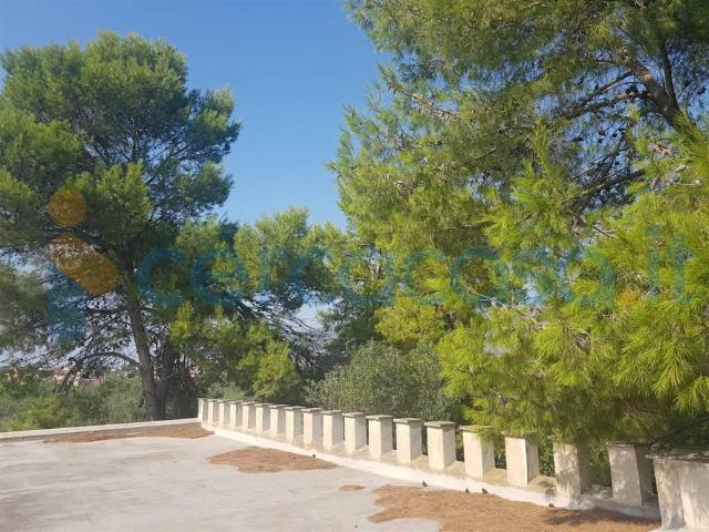 Villa in affitto a Paceco