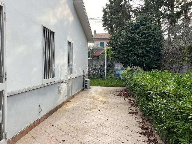 Villa in affitto a Pedara corso Ara di Giove, 382, arredato, giardino, lavanderia TrovaCasa