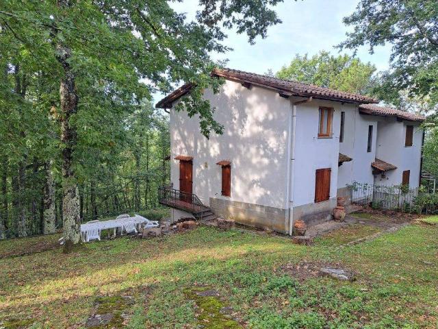 Villa in affitto a Pelago FI