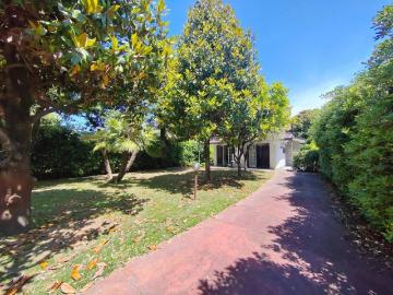 Villa in affitto a Pietrasanta LU