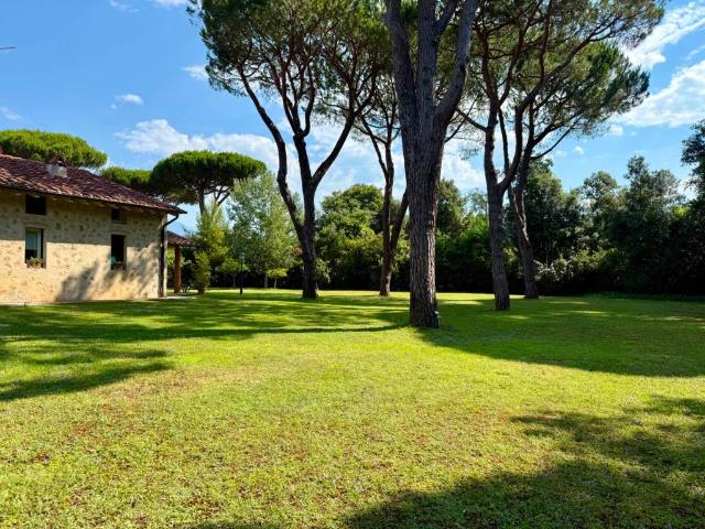 Villa in affitto a Pietrasanta LU