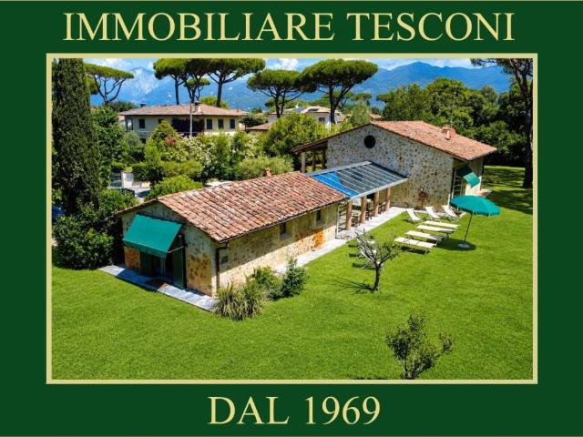 Villa in affitto a Pietrasanta LU