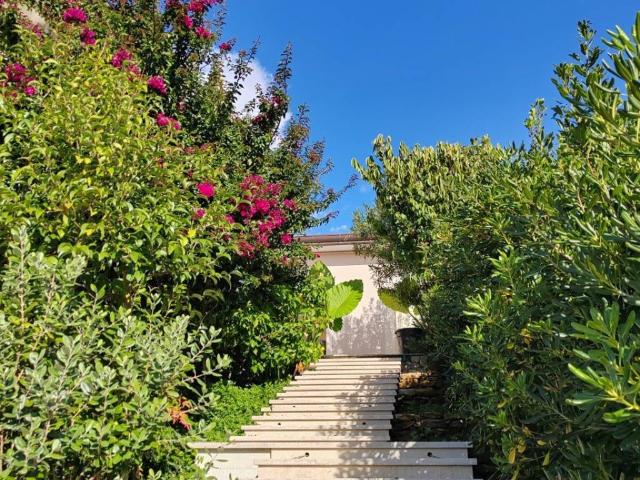 Villa in affitto a Forte dei Marmi LU