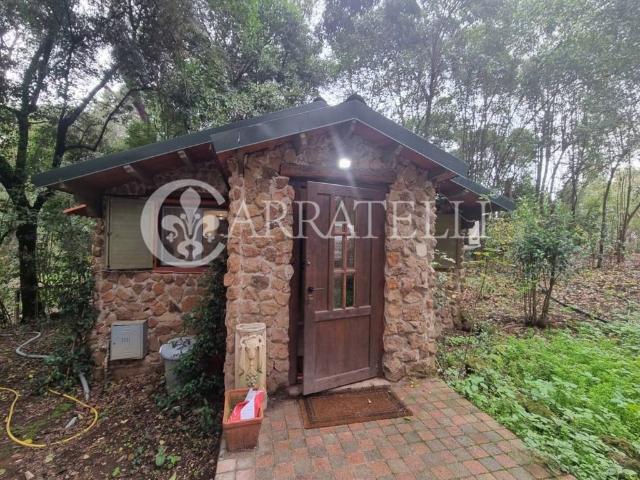 Villa in affitto a Roma via del Casale della Crescenza, arredato, giardino privato, riscaldamento autonomo TrovaCasa