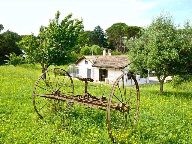 Villa in affitto a Roma via di Quarto Annunziata, 80, non arredato/vuoto, giardino privato, terrazzo TrovaCasa