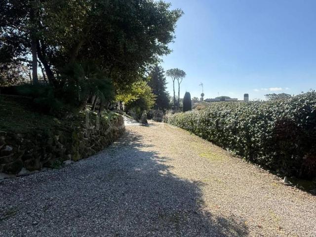 Villa in affitto a Roma via di Villa Zingone, giardino privato, parzialmente arredato, centrale TrovaCasa