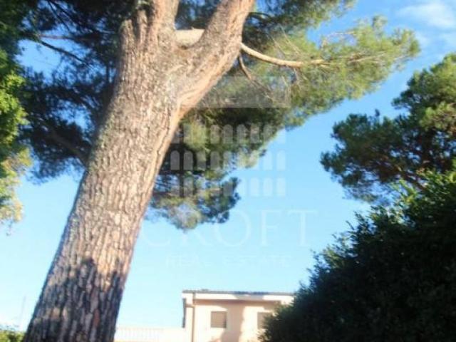 Villa in affitto a Roma, giardino privato, terrazzo, caminetto TrovaCasa