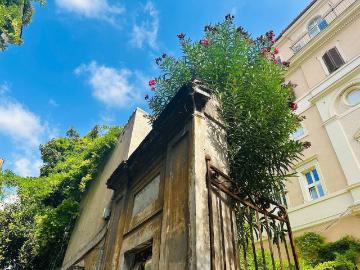 Villa in affitto a Roma RM