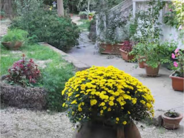 Villa in affitto a Roma RM