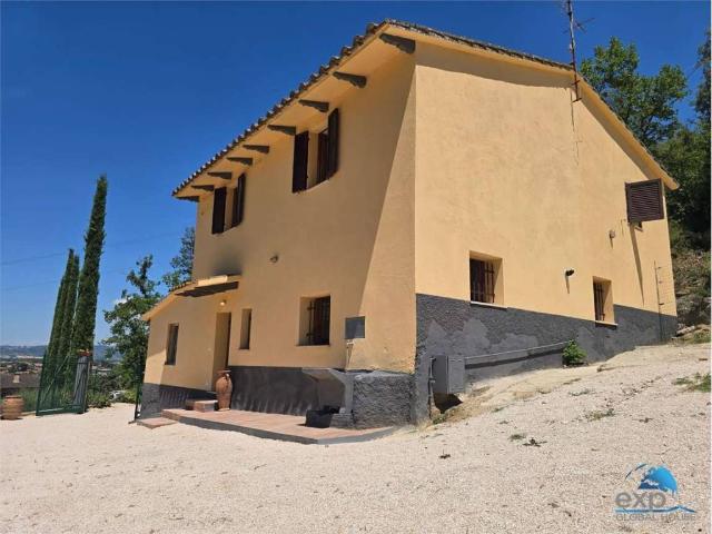 Villa in affitto a Torgiano PG