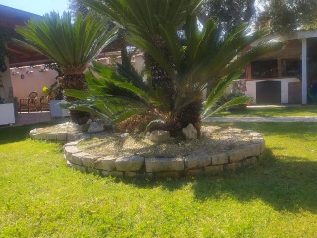 Villa in affitto a Terracina via delle Mimose la Paloma, 4, arredato, giardino privato, posto auto TrovaCasa