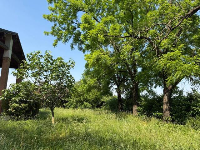 Villa in affitto a Valsamoggia BO