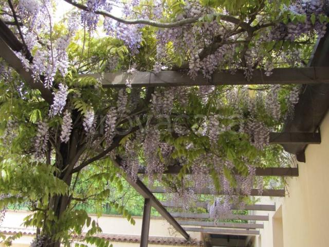 Villa in affitto a Varese via Montello, giardino privato, terrazzo, parzialmente arredato TrovaCasa