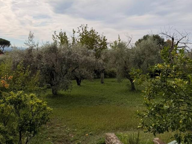 Villa in affitto a Velletri RM