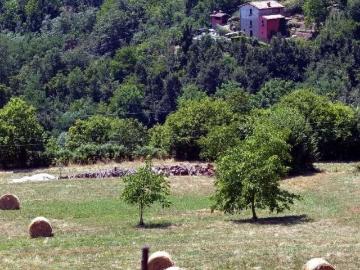 Villa in affitto a Villa Collemandina localitÃ casetta, arredato, giardino privato, posto auto TrovaCasa
